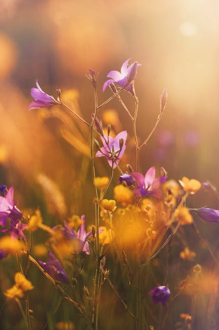Flowers & Plants - Capture the tranquil beauty of purple and yellow #2440300